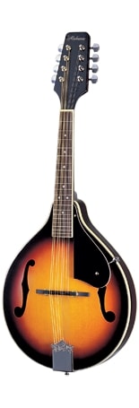 Alabama - Style A Mandolin in Tobacco Sunburst - ALM20