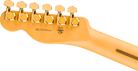 Fender - 75th Anniversary American Professional Custom Telecaster® - Maple Fingerboard - 2-Color Sunburst - 017-1022-703