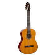 Valencia - VC264 4/4 Acoustic Guitar Natural Gloss