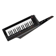 Korg - RK-100S 2 Black