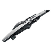 Roland - AE-30 Aerophone Pro