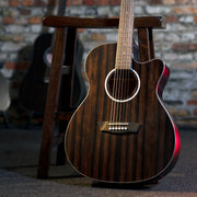 Washburn - Deep Forest Ebony Ace Striped Ebony DFEACE-A-U