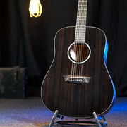 Washburn - Deep Forest Ebony D Striped Ebony DFED-A-U