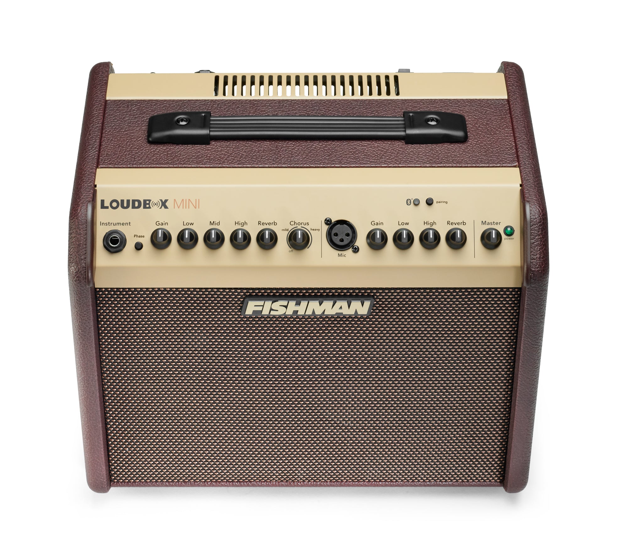 Fishman - Loudbox Mini with Bluetooth® PRO-LBT-500