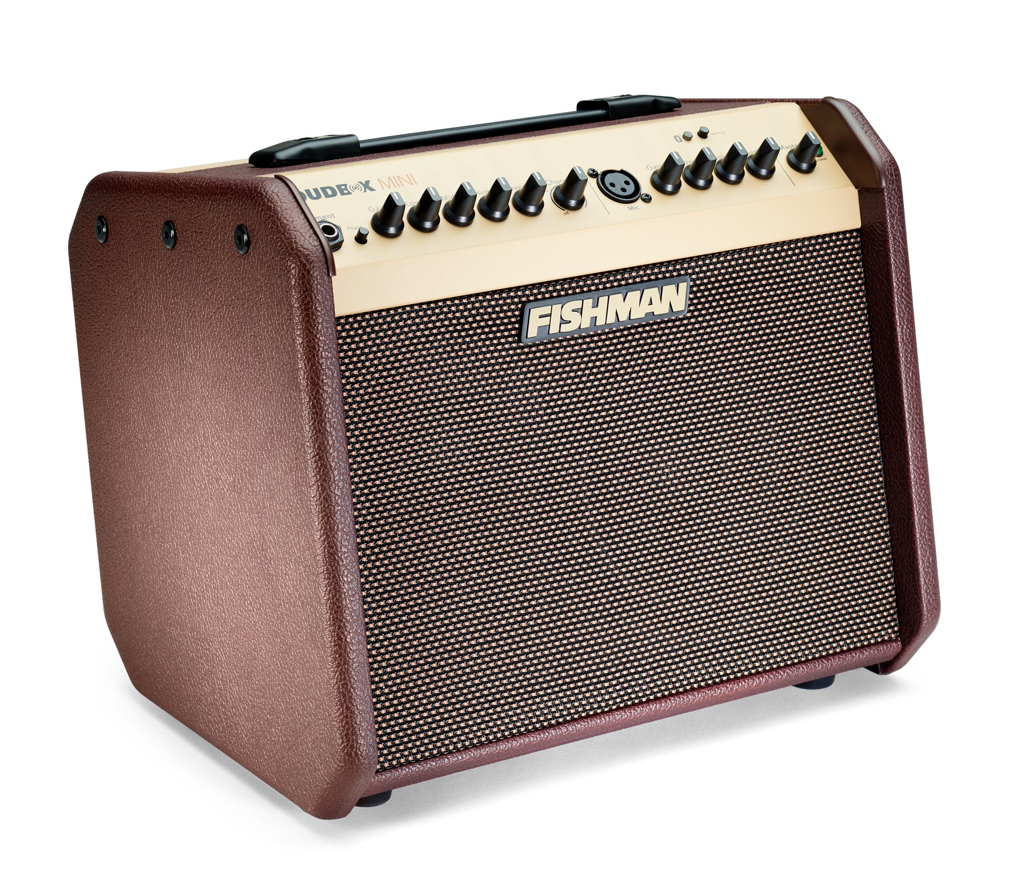 Fishman - Loudbox Mini with Bluetooth® PRO-LBT-500