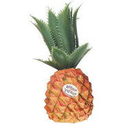 Rhythm Tech - 2054 Fruit Shaker – Pineapple