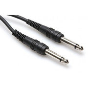 Hosa - CPP-110 1/4-1/4 10'