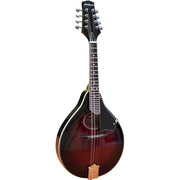 Alabama - A-Style Arch-Top Mandolin, Red Sunburst ALM18