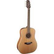 Takamine - GD20-NS