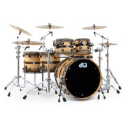 DW Drums - Collector's Series VLT 333 Maple 6-Piece Shell Kit Sycamore Ziricote DRKT36N06AYDC3