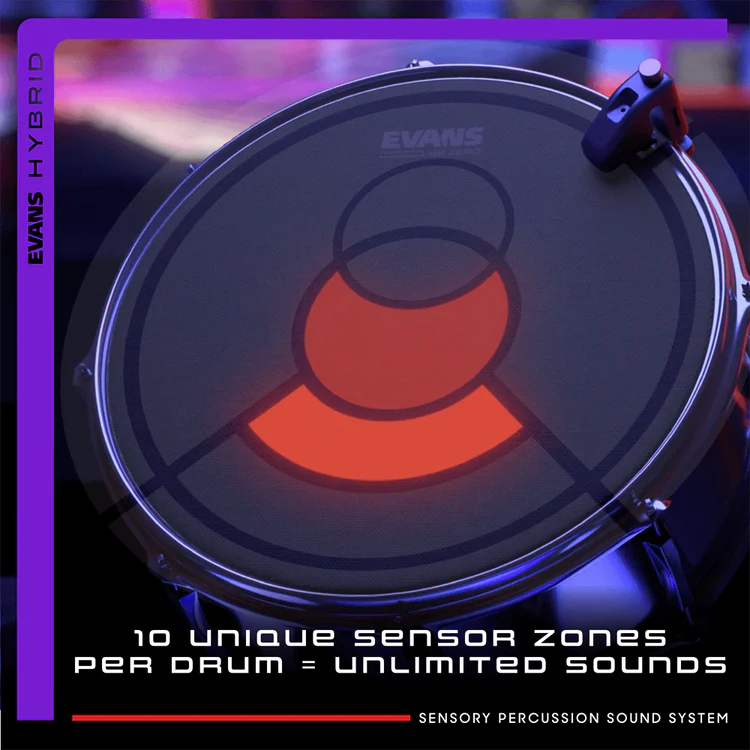 Evans - Sensory Percussion Ensemble de Capteurs EHSP-1-SENSOR