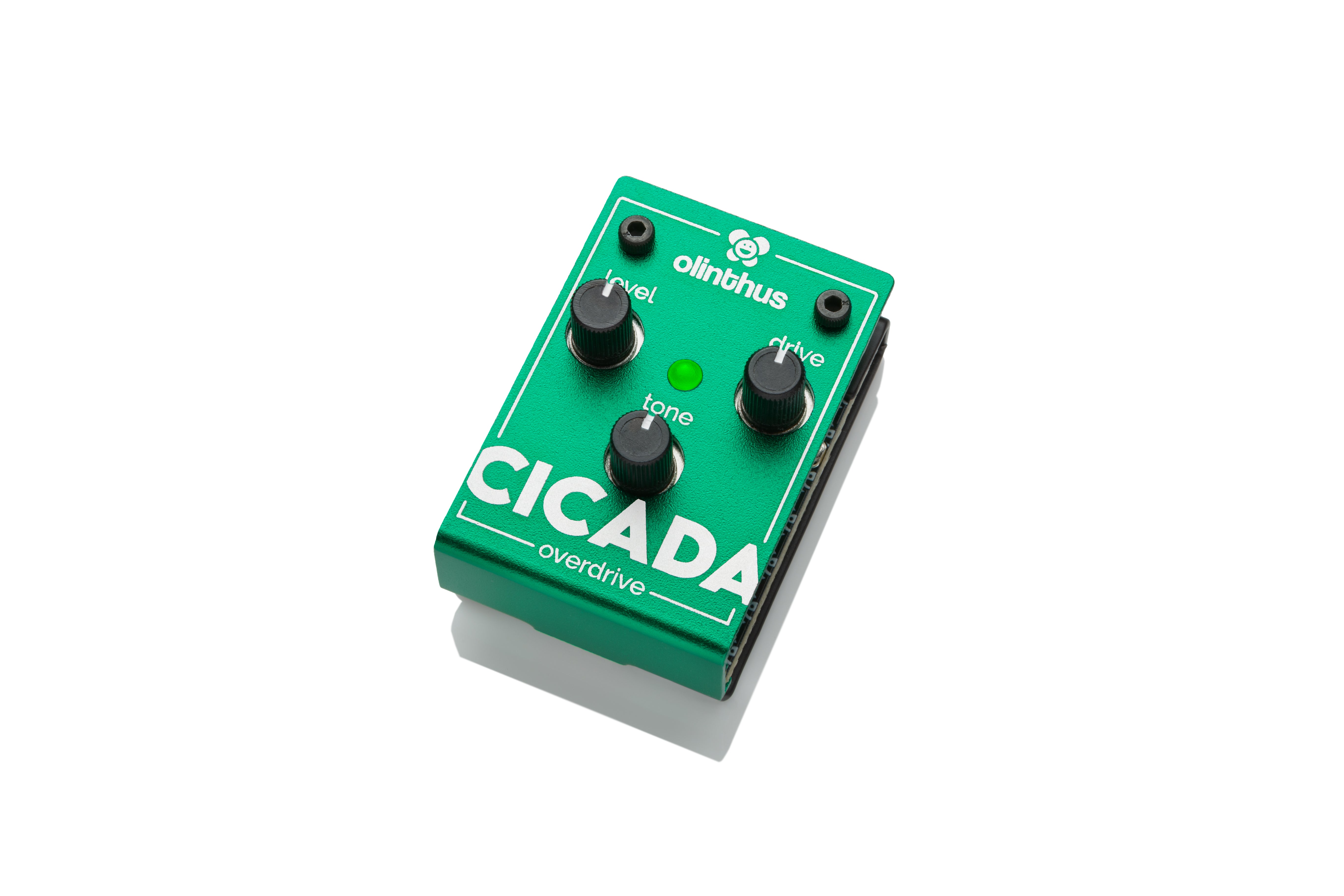 Olinthus - Cicada Overdrive – World's Smallest Guitar Effects Mini