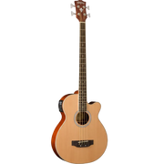 Washburn - AB5K Acoustic Bass