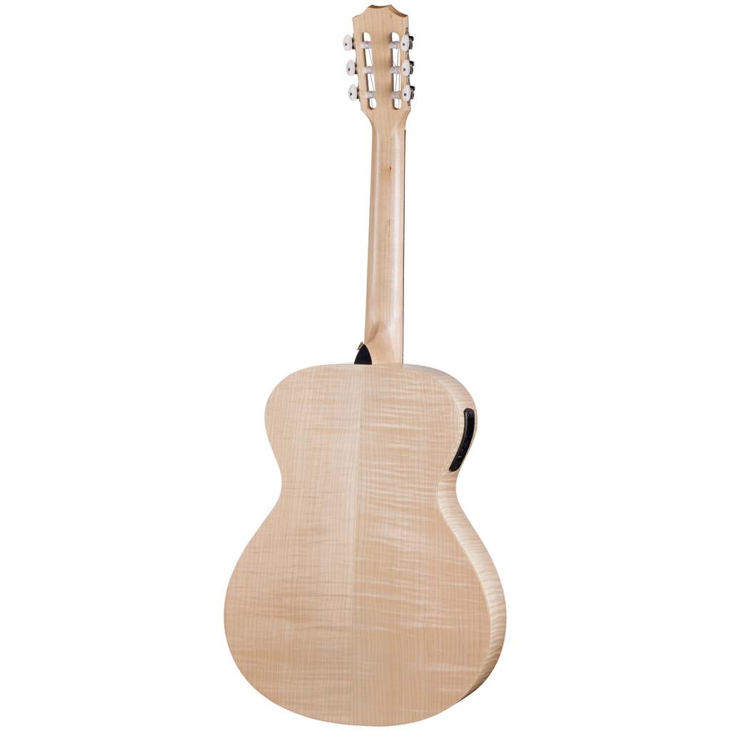 Taylor Guitars - Academy EG-12e LTD – Steve's Music Store