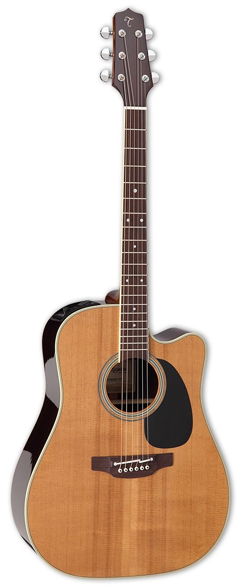 Takamine - Thermal Top Pro Series Acoustic/Electric Guitar - EF360SC-TT