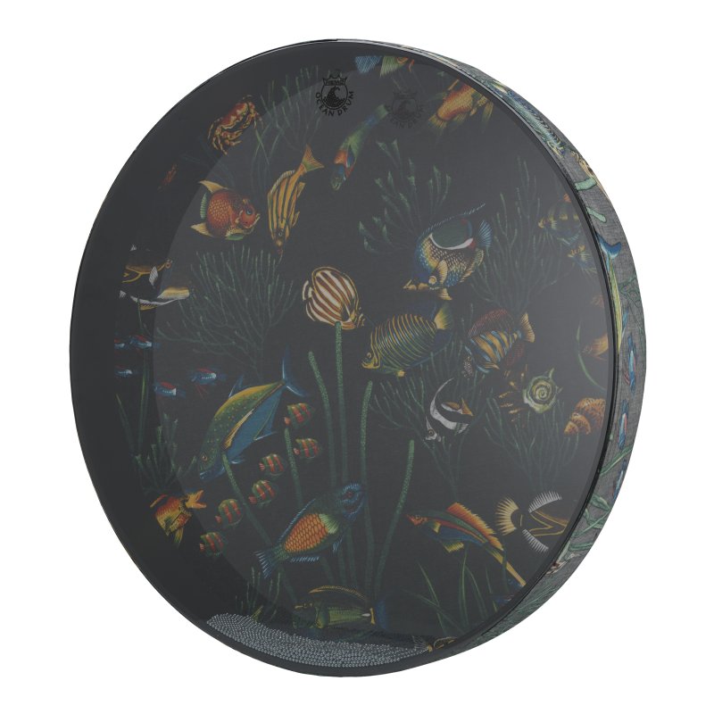 Remo - Ocean Drum® - Fish Graphic, 22" - ET-0222-10