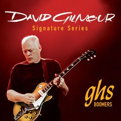 GHS - David Gilmour Signature - Blue Strings - 010-048 - GB-DGF