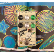 Summer School Electronics - Science Fair Overdrive Distortion