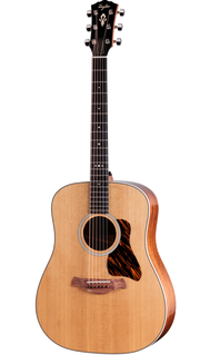Taylor Guitars - Gold Label 510e Acoustic Guitar