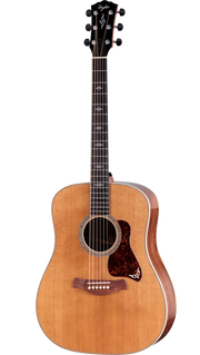Taylor Guitars - Gold Label 810e Acoustic Guitar