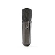 Warm Audio - Limited-Edition Stereo Pair Large-Diaphragm Balanced Condenser Microphone - Titanium Finish - WA87-R2-TS