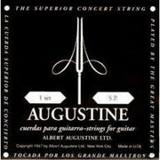 Augustine - Classical Black/Gold ABK-G