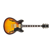 Ibanez - JSM10EM-TTB - Two-Tone Burst
